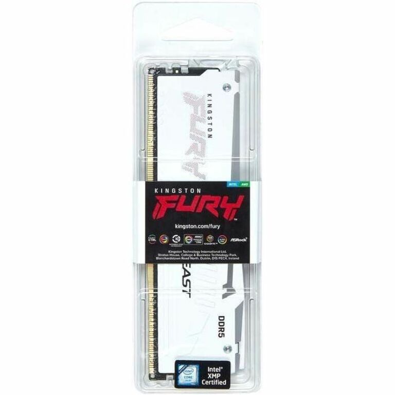 Module de mémoire DDR5 SDRAM Kingston FURY Beast 16 Go KF568C34BWA-16