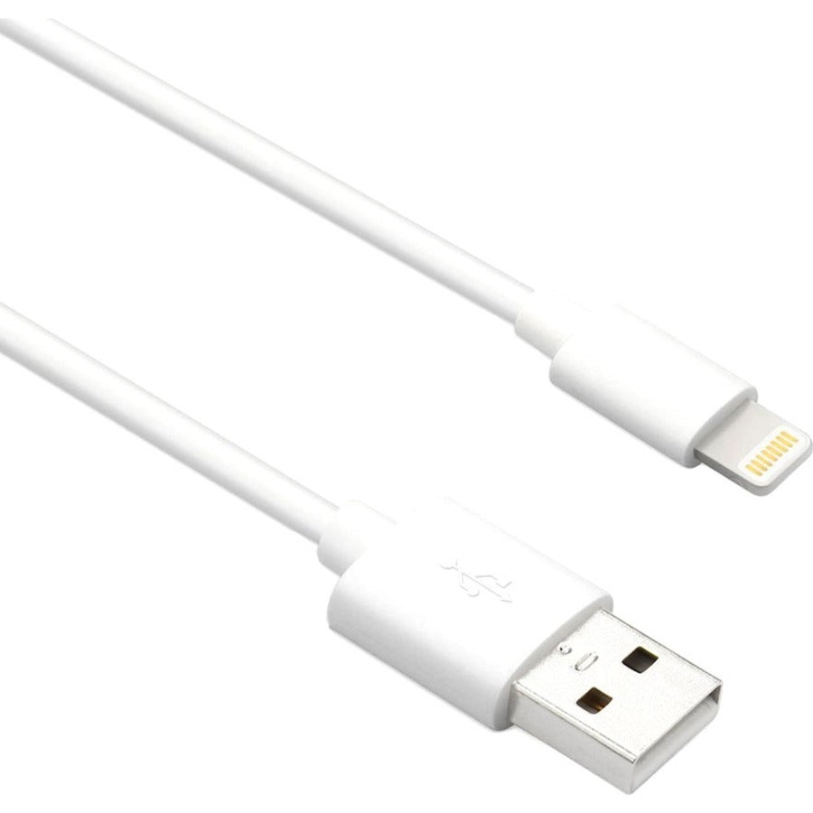 Câble adaptateur Axiom Lightning vers USB-A M/M - Blanc 6 pieds LGMUSBAMW06-AX
