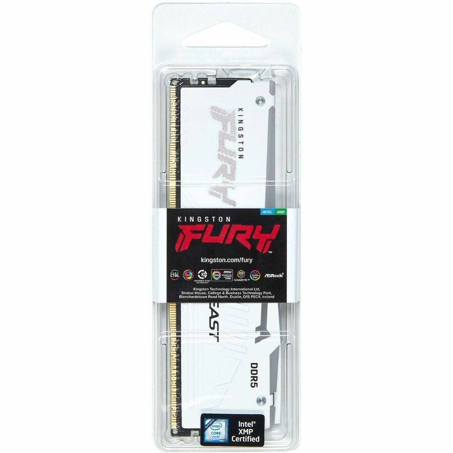 Module de mémoire DDR5 SDRAM Kingston FURY Beast 32 Go KF560C30BWA-32