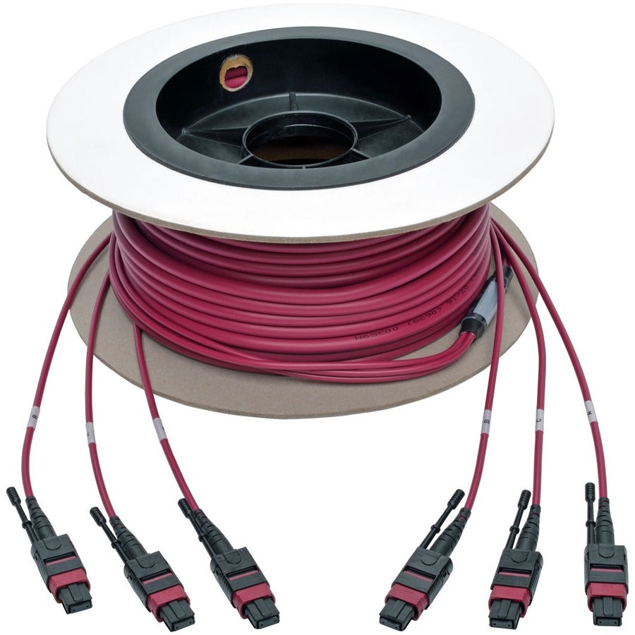 Câble de liaison multimode MTP/MPO Base-8 Tripp Lite par Eaton N858-15M-3X8-MG, magenta, 15 m N858-15M-3X8-MG