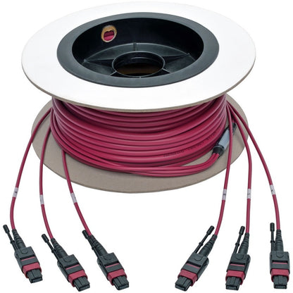 Câble de liaison multimode MTP/MPO Base-8 Tripp Lite par Eaton N858-15M-3X8-MG, magenta, 15 m N858-15M-3X8-MG