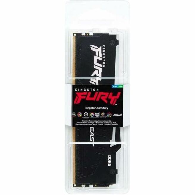 Module de mémoire DDR5 SDRAM Kingston FURY Beast 16 Go KF560C30BBA-16