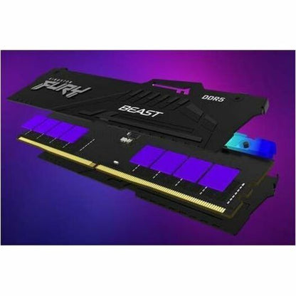 Module de mémoire DDR5 SDRAM Kingston FURY Beast 16 Go KF560C30BBA-16