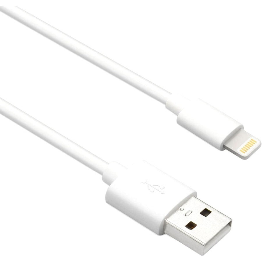 Câble adaptateur Axiom Lightning vers USB-A M/M - Blanc 3 pieds LGMUSBAMW03-AX