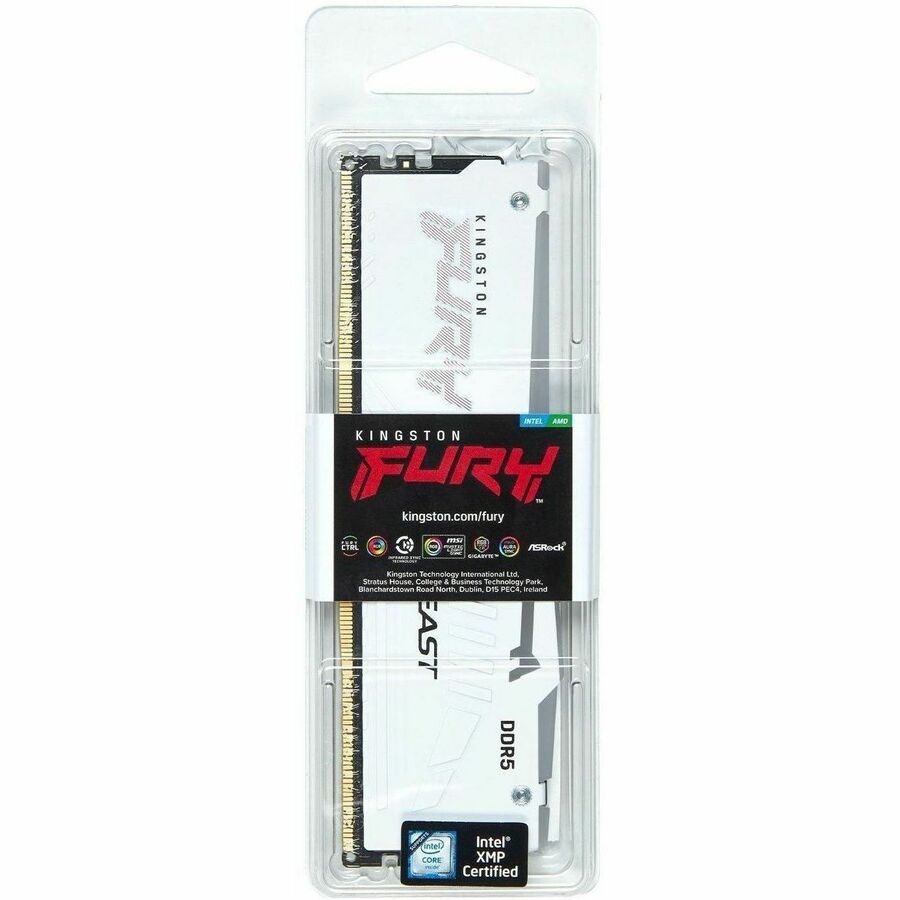Module de mémoire DDR5 SDRAM Kingston FURY Beast 16 Go KF568C34BWEA-16