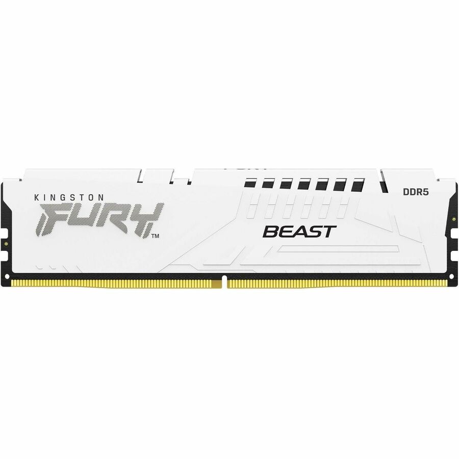 Module de mémoire DDR5 SDRAM Kingston FURY Beast 16 Go KF564C32BW-16