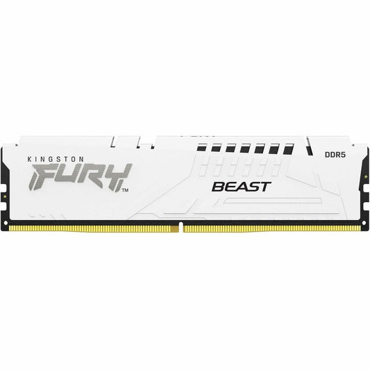 Module de mémoire DDR5 SDRAM Kingston FURY Beast 16 Go KF564C32BW-16