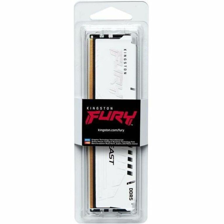 Module de mémoire DDR5 SDRAM Kingston FURY Beast 16 Go KF564C32BW-16