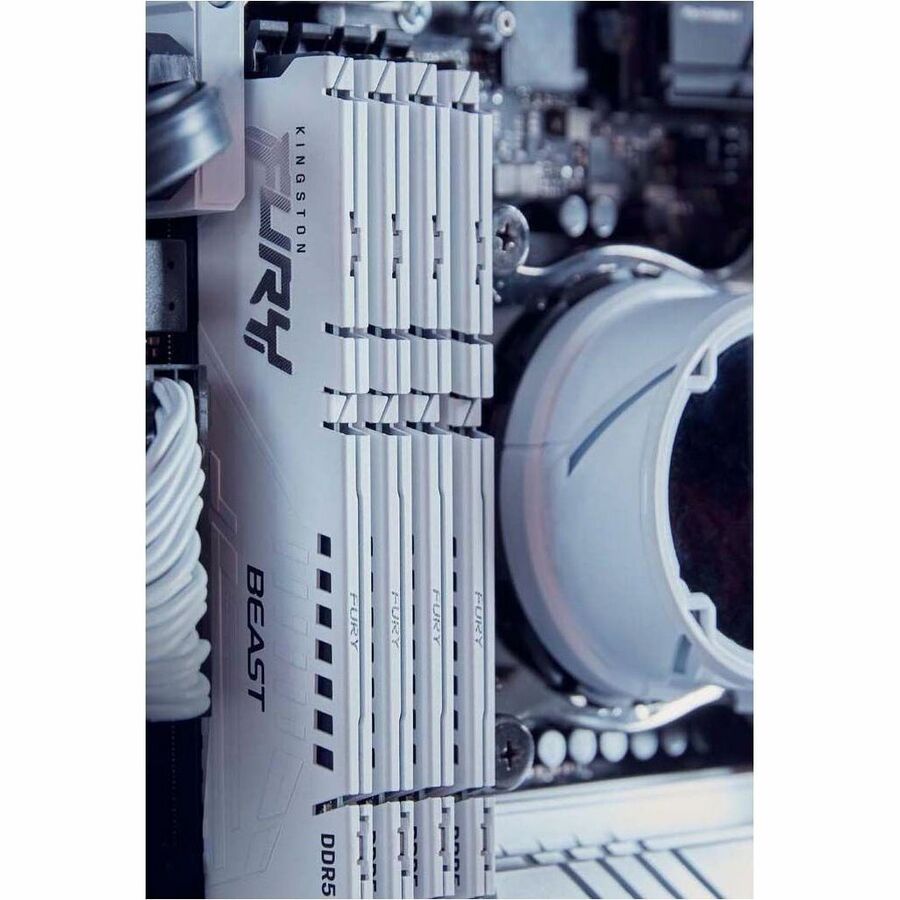 Module de mémoire DDR5 SDRAM Kingston FURY Beast 16 Go KF564C32BW-16