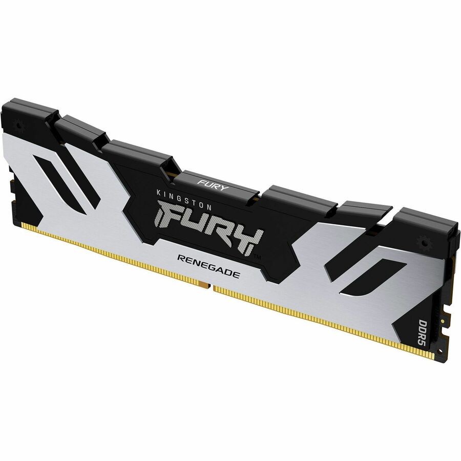 Module de mémoire DDR5 SDRAM Kingston FURY Renegade 24 Go KF564C32RS-24