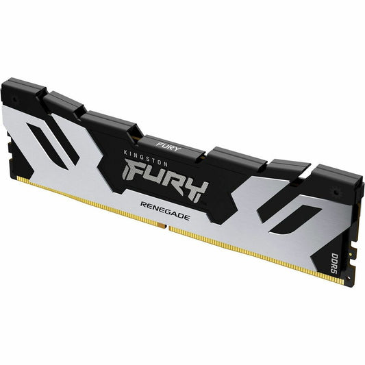 Module de mémoire DDR5 SDRAM Kingston FURY Renegade 24 Go KF564C32RS-24