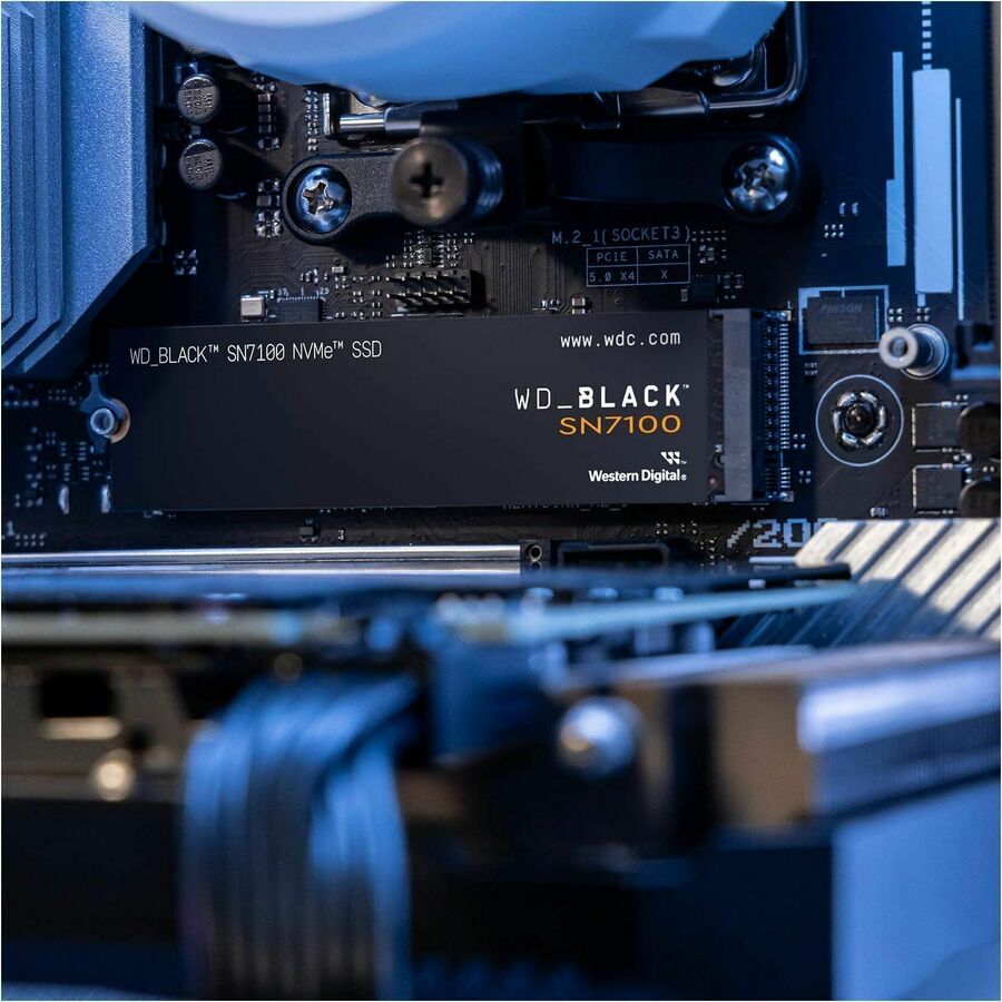 204974885.jpg