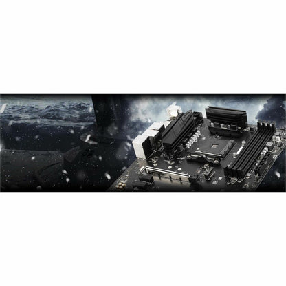 217682414.jpg