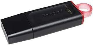 Clé USB 3.2 Kingston DataTraveler Exodia 256 Go (1ère génération) DTX/256GBCR