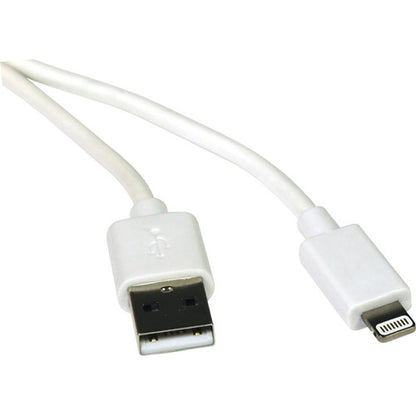 Câble de synchronisation/chargement USB Lightning de 3 pieds de Tripp Lite pour Apple iPhone/iPad Blanc 3' M100-003-WH