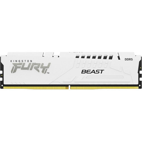 Module de mémoire DDR5 SDRAM Kingston FURY Beast 32 Go KF560C36BWE-32