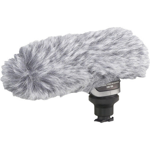 Canon DM-100 Plug-in Microphone 2591B002