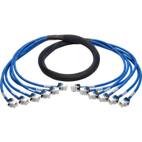 Kit de jonction en cuivre pré-raccordé Cat6/Cat6a augmenté Tripp Lite par Eaton, (6x) RJ45 (F/F), 10 pi N261-010-6FF-BL