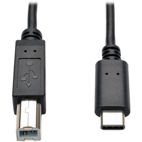 Câble USB Type-B mâle vers USB-C haute vitesse Tripp Lite par Eaton U040-006