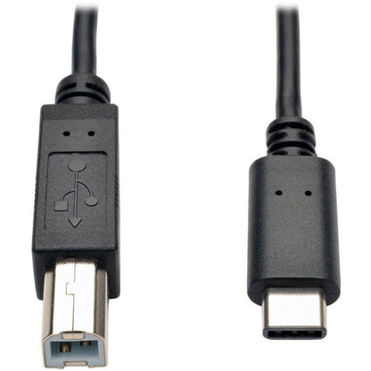 Câble USB Type-B mâle vers USB-C haute vitesse Tripp Lite par Eaton U040-006