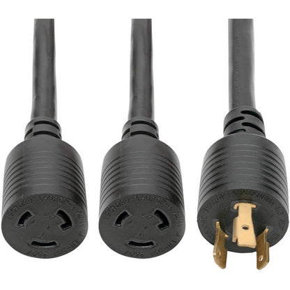 Câble répartiteur en Y pour cordon d'alimentation Tripp Lite 1 pi L6-20P vers 2xL6-20R pour PDU/UPS 20 A 10 AWG 1 pi P039-001-2