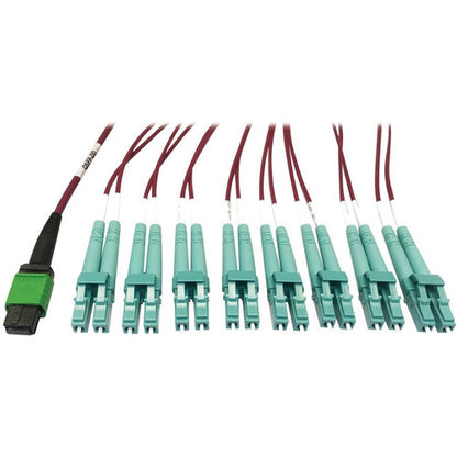 Câble à fibre optique multimode 50/125 OM4 Tripp Lite par Eaton N846D-03M-16EMG 400G, magenta, 3 m N846D-03M-16EMG
