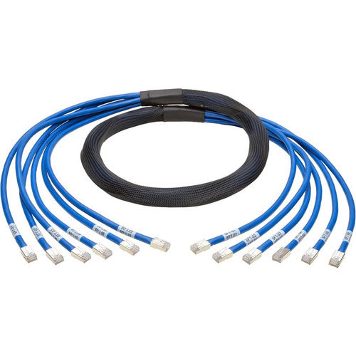 Câble réseau patch Cat.6a Tripp Lite par Eaton N261-006-6MM-BL N261-006-6MM-BL