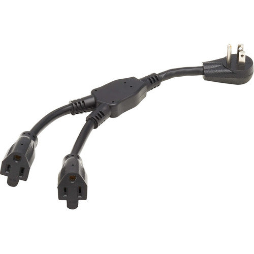 Rallonge d'alimentation Tripp Lite par Eaton P024-001-15D-2 P024-001-15D-2