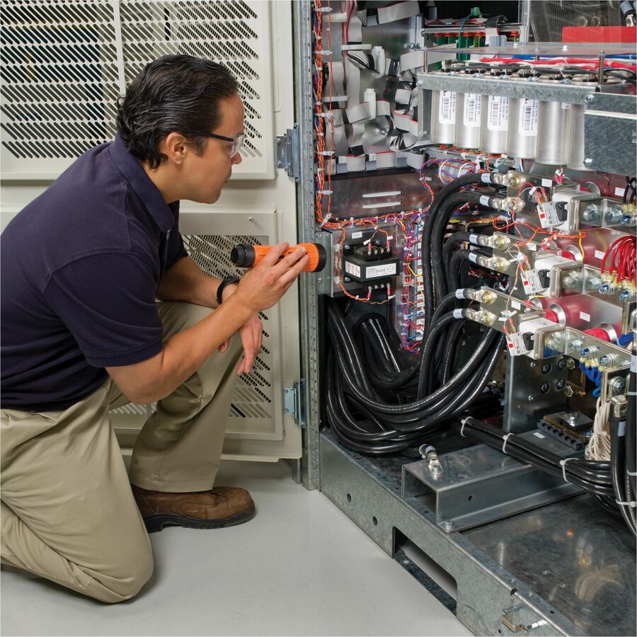 231499137.jpg