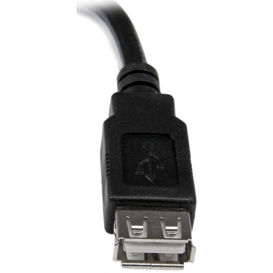 StarTech.com Câble adaptateur d'extension USB 2.0 A vers A de 15 cm - M/F USBEXTAA6IN