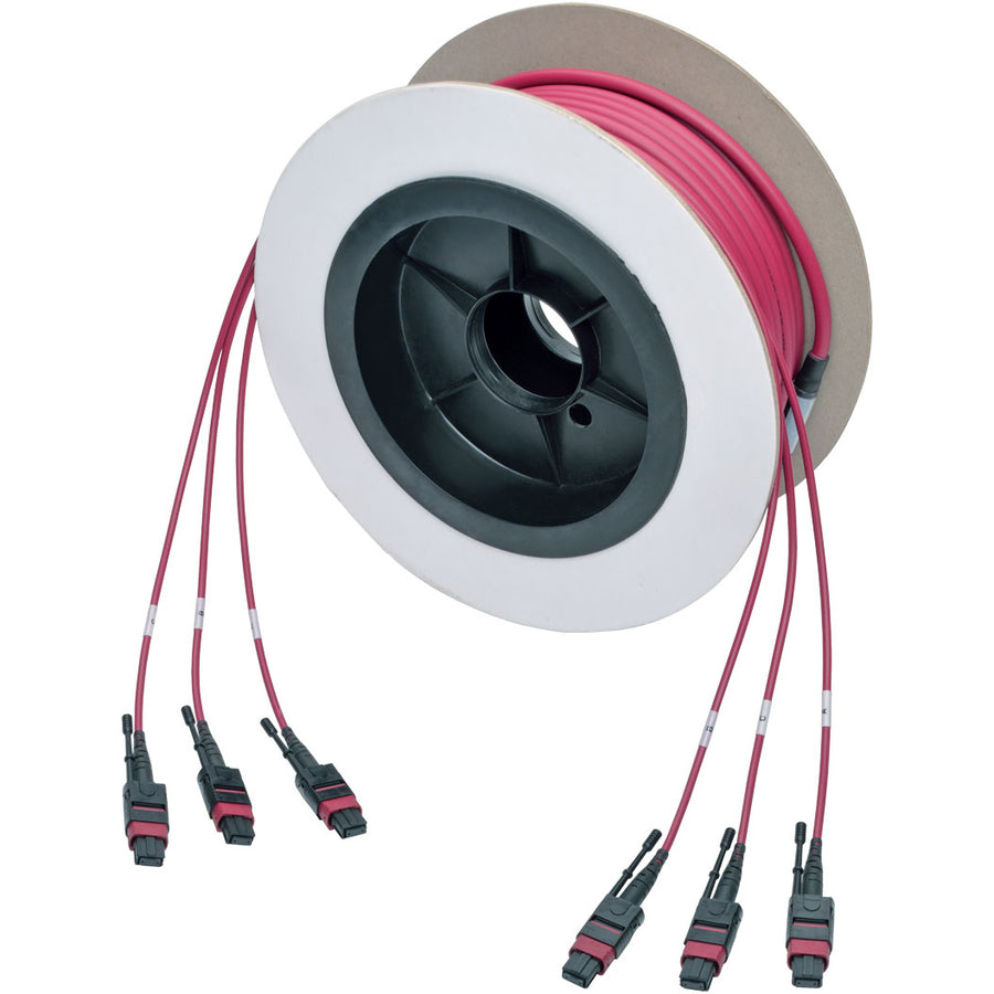 Câble de liaison multimode MTP/MPO Base-8 Tripp Lite par Eaton N858-15M-3X8-MG, magenta, 15 m N858-15M-3X8-MG