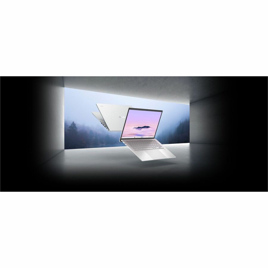 244285947.jpg