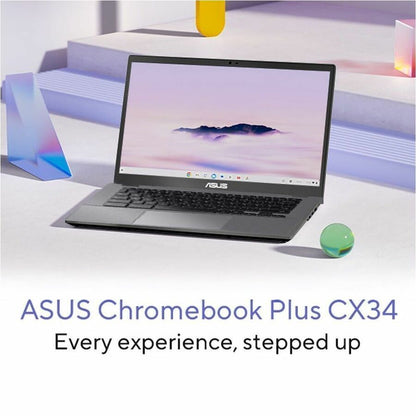 244291167.jpg