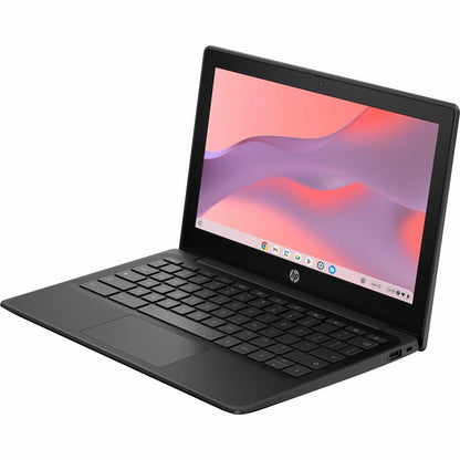 253346635.jpg