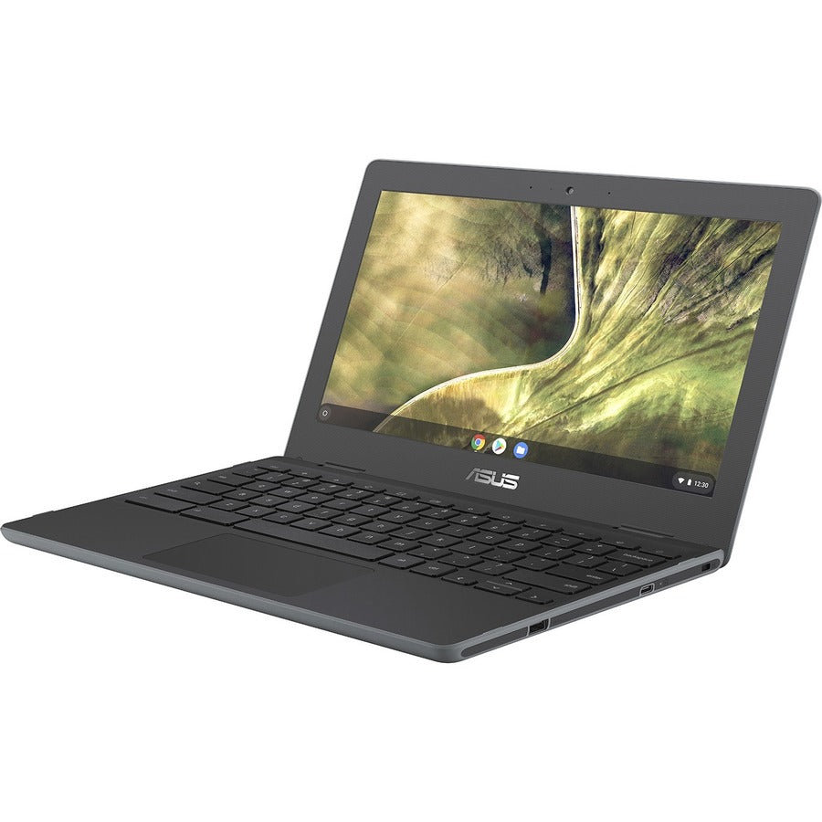 Asus Chromebook C204 C204MA-YB02-GR Chromebook robuste 11,6" - HD - Intel Celeron N4020 - 4 Go - Mémoire flash 32 Go - Gris foncé C204MA-YB02-GR