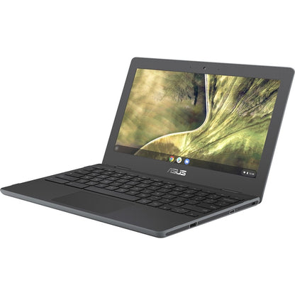 Asus Chromebook C204 C204MA-YB02-GR Chromebook robuste 11,6" - HD - Intel Celeron N4020 - 4 Go - Mémoire flash 32 Go - Gris foncé C204MA-YB02-GR