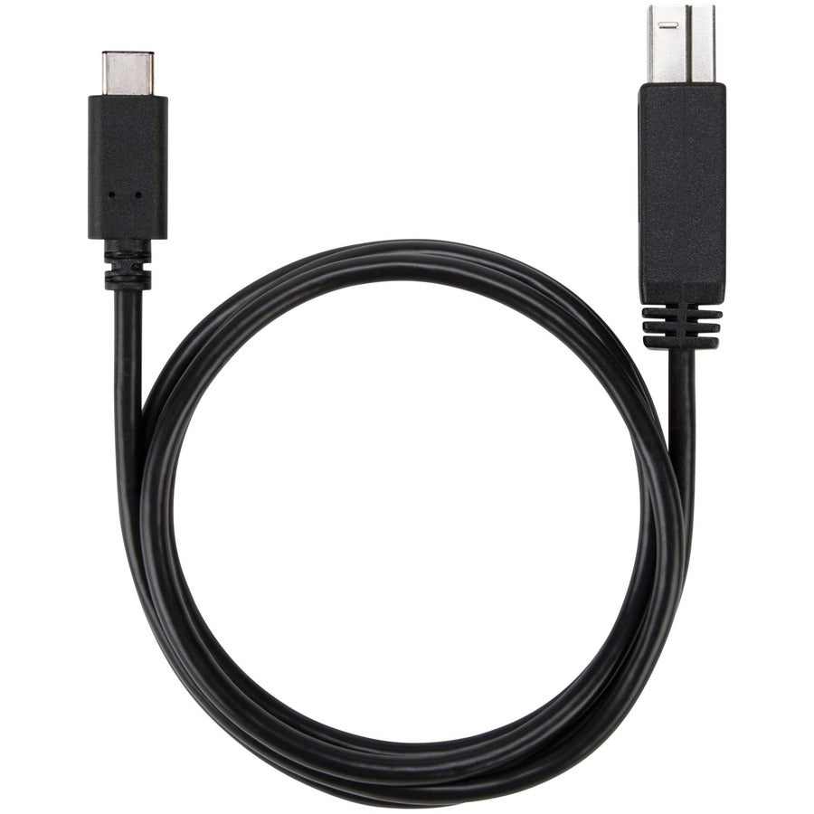 Câble USB-C vers USB-B 5 Gbit/s de 1 mètre de Targus ACC924USX