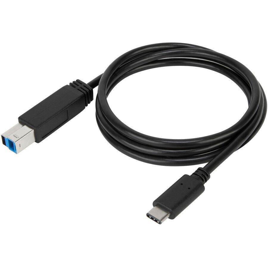 Câble USB-C vers USB-B 5 Gbit/s de 1 mètre de Targus ACC924USX