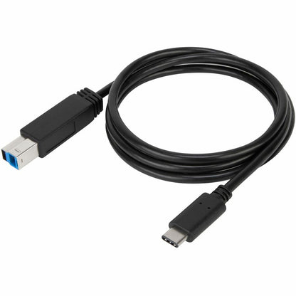 Câble USB-C vers USB-B 5 Gbit/s de 1 mètre de Targus ACC924USX