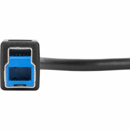 Câble USB-C vers USB-B 5 Gbit/s de 1 mètre de Targus ACC924USX