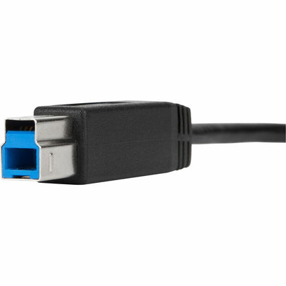 Câble USB-C vers USB-B 5 Gbit/s de 1 mètre de Targus ACC924USX