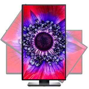 Écran LCD Dell UltraSharp U2520D 25" WQHD Edge WLED - 16:9 DELL-U2520D