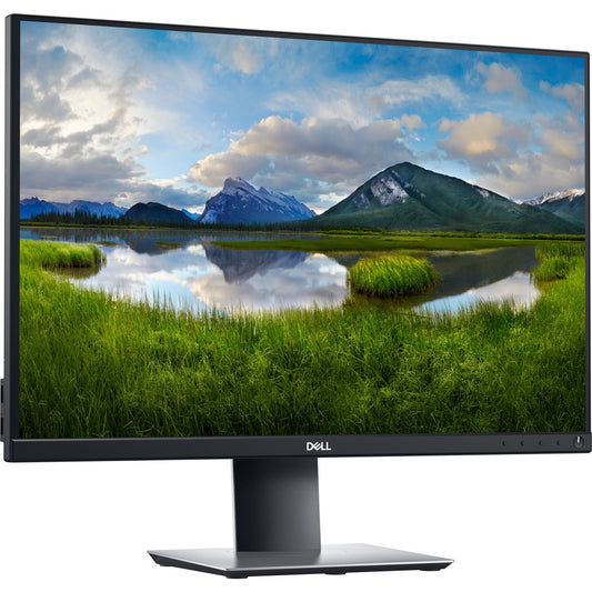 Moniteur LCD WUXGA Dell P2421 24 pouces - 16:10 - Noir DELL-P2421