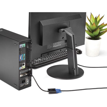 Adaptateur DisplayPort vers VGA StarTech.com, convertisseur DP vers VGA actif, vidéo 1080p, dongle adaptateur DP vers VGA (numérique vers analogique), DP 1.2 DP2VGA3